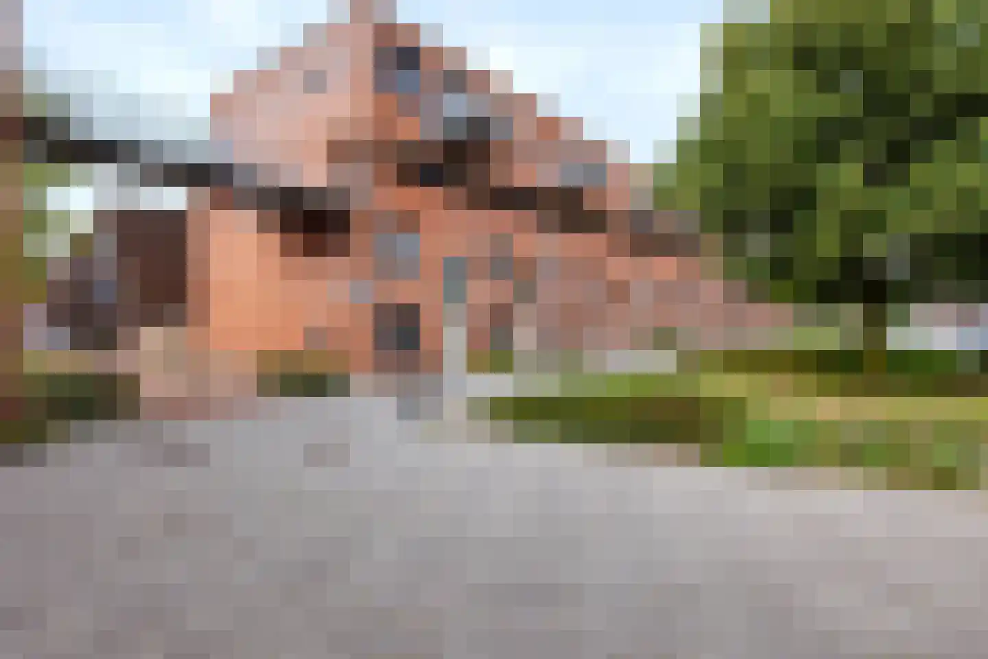 Linie 609 Apeldoorn thumbnail 39