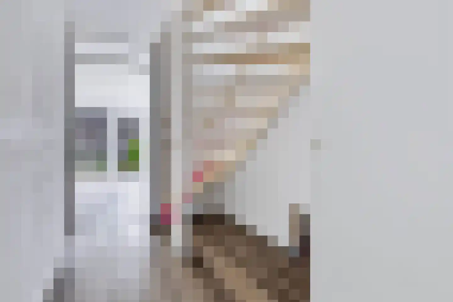 Linie 609 Apeldoorn thumbnail 4