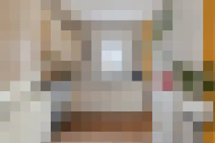 Linie 8 Berkel en Rodenrijs thumbnail 10