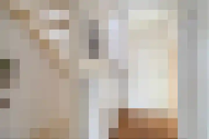 Linie 8 Berkel en Rodenrijs thumbnail 12