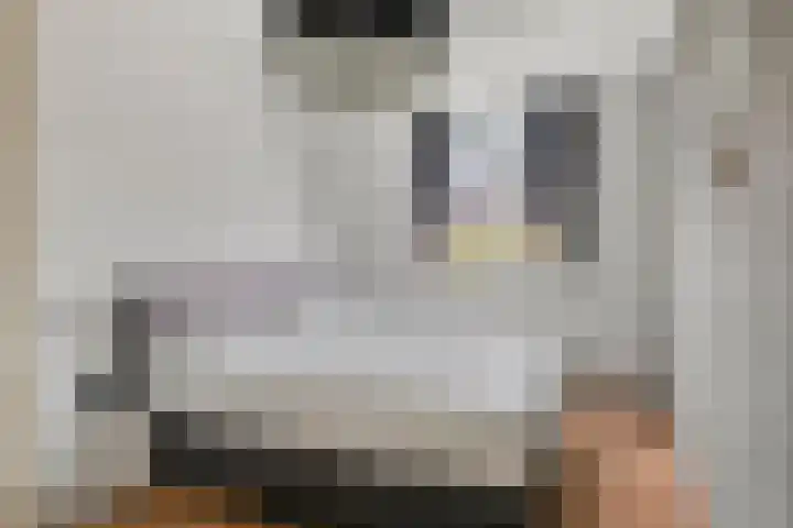Linie 8 Berkel en Rodenrijs thumbnail 14