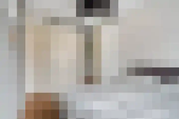 Linie 8 Berkel en Rodenrijs thumbnail 15