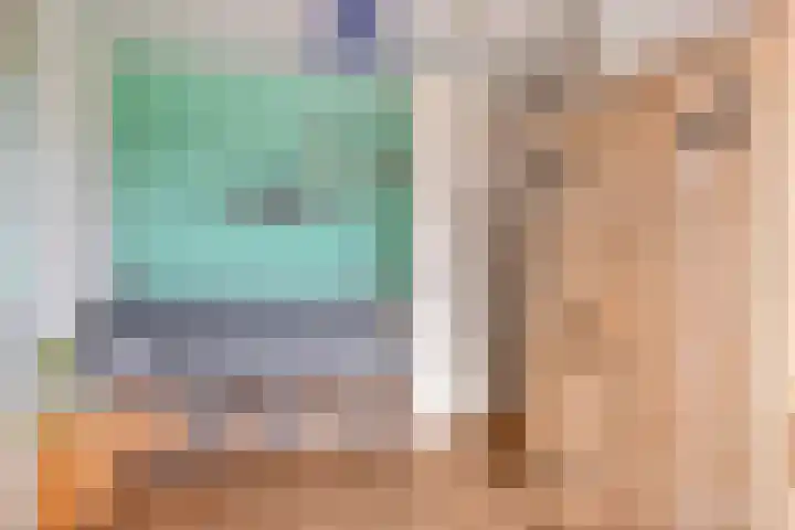 Linie 8 Berkel en Rodenrijs thumbnail 18
