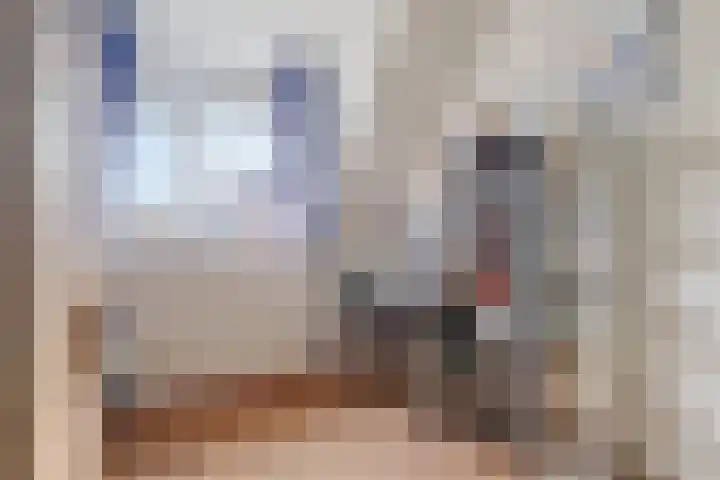 Linie 8 Berkel en Rodenrijs thumbnail 19