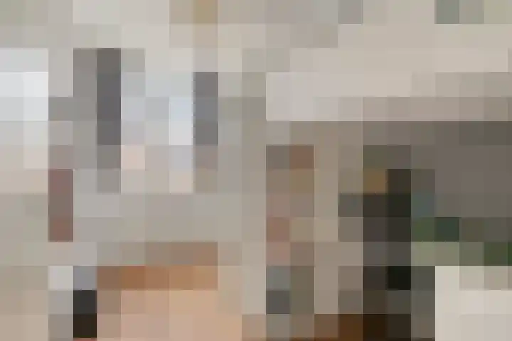 Linie 8 Berkel en Rodenrijs thumbnail 20