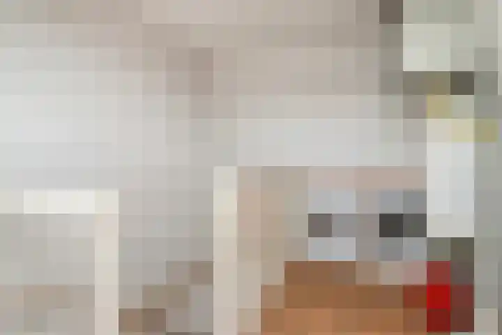 Linie 8 Berkel en Rodenrijs thumbnail 23