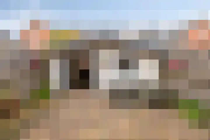 Linie 8 Berkel en Rodenrijs thumbnail 26