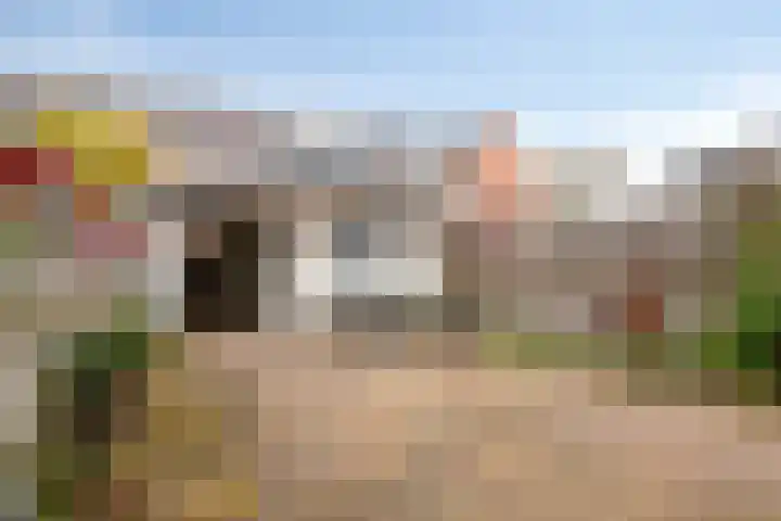 Linie 8 Berkel en Rodenrijs thumbnail 27