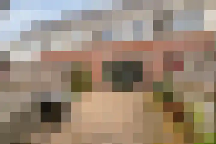 Linie 8 Berkel en Rodenrijs thumbnail 28