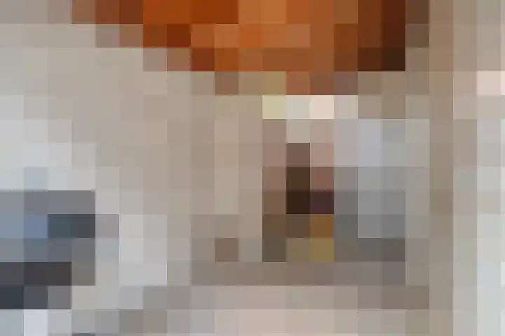 Linie 8 Berkel en Rodenrijs thumbnail 29