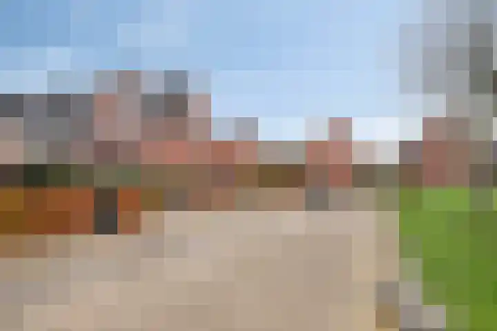 Linie 8 Berkel en Rodenrijs thumbnail 30