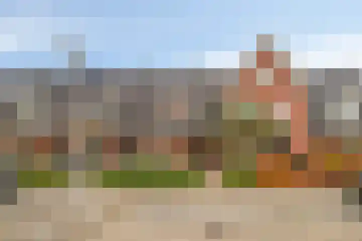 Linie 8 Berkel en Rodenrijs thumbnail 31