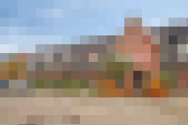 Linie 8 Berkel en Rodenrijs thumbnail 32