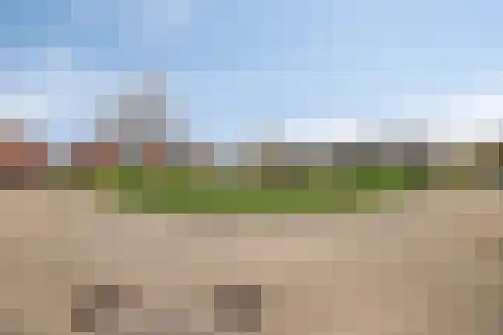 Linie 8 Berkel en Rodenrijs thumbnail 33
