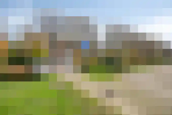 Linie 8 Berkel en Rodenrijs thumbnail 34