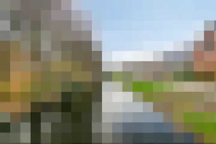 Linie 8 Berkel en Rodenrijs thumbnail 35