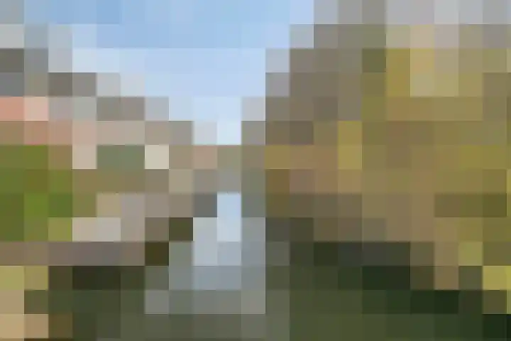 Linie 8 Berkel en Rodenrijs thumbnail 36