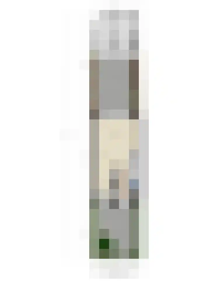 Linie 8 Berkel en Rodenrijs thumbnail 38