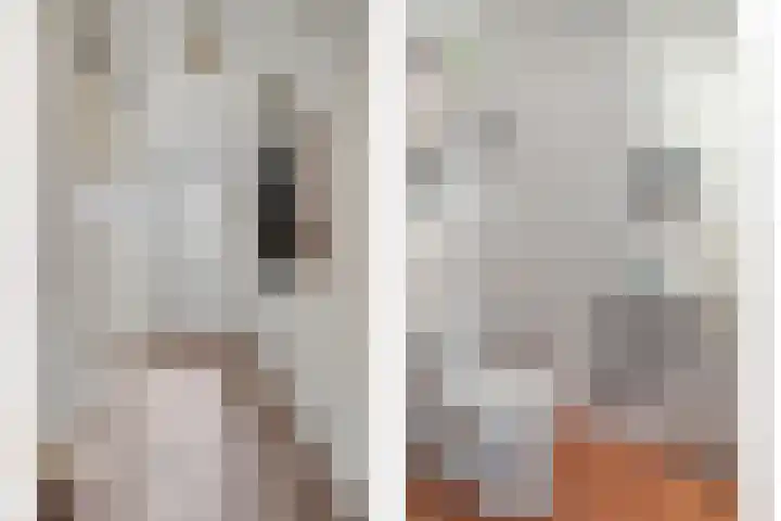 Linie 8 Berkel en Rodenrijs thumbnail 5