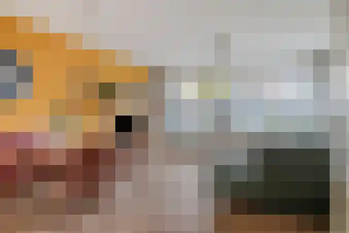 Linie 8 Berkel en Rodenrijs thumbnail 6