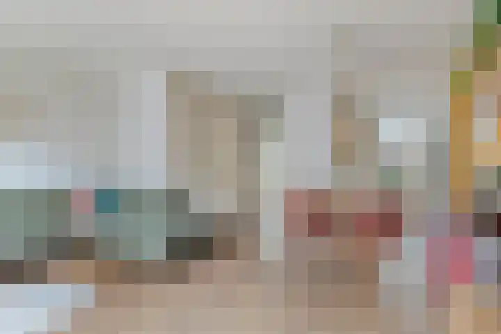 Linie 8 Berkel en Rodenrijs thumbnail 7