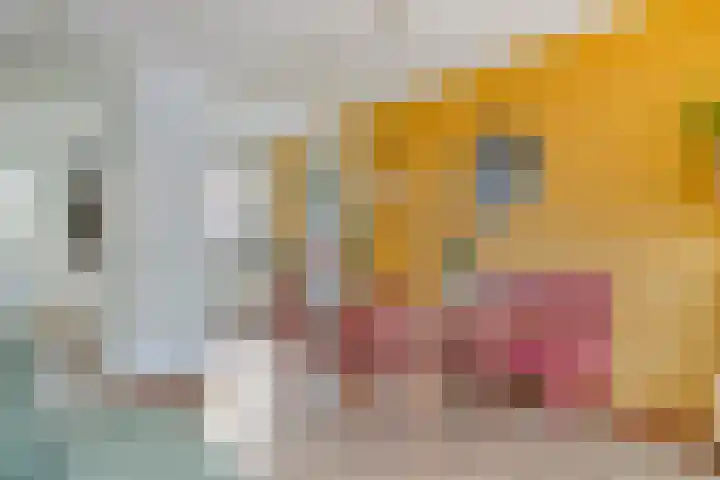 Linie 8 Berkel en Rodenrijs thumbnail 8
