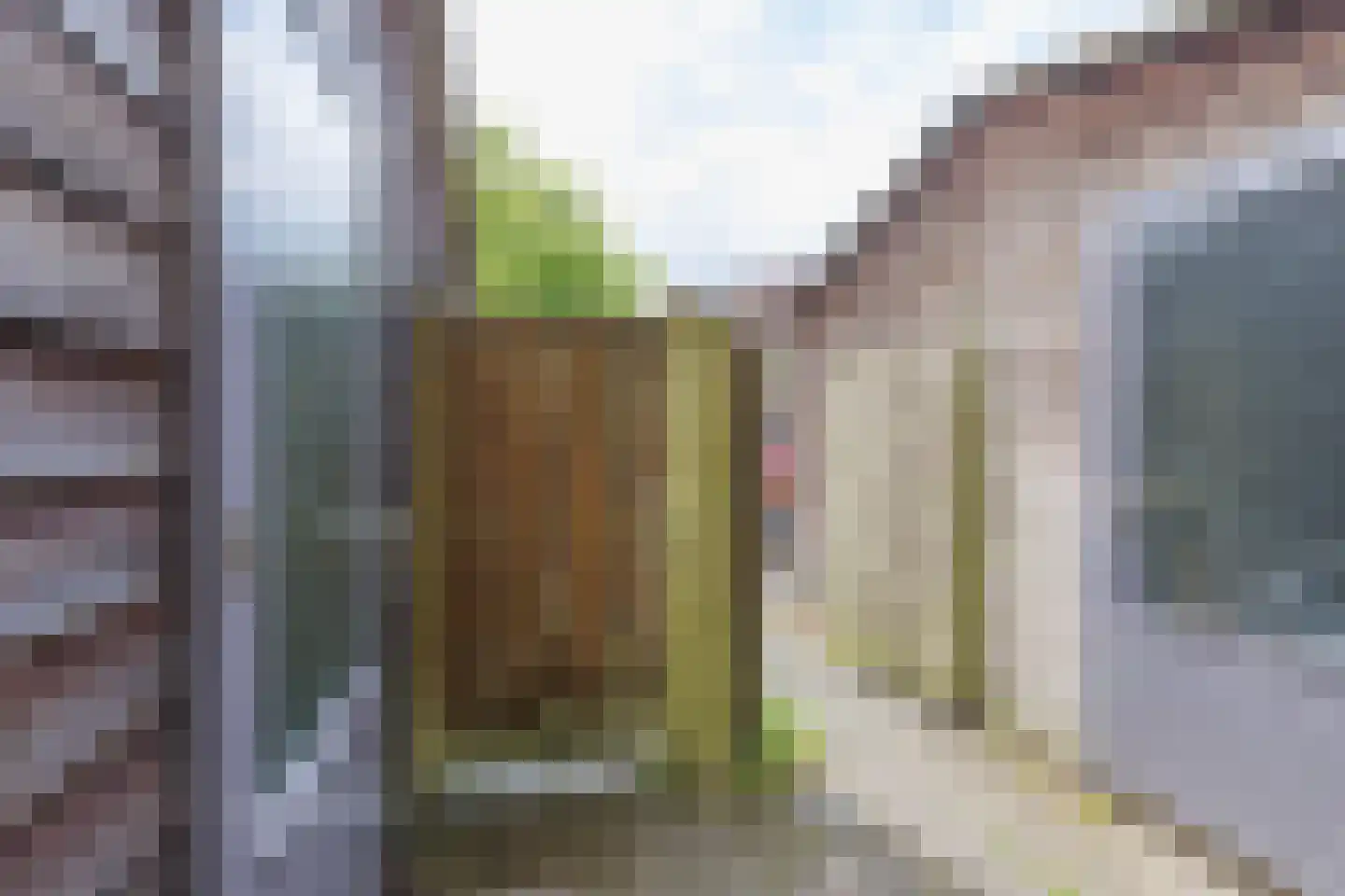 Linie 91 Apeldoorn thumbnail 17