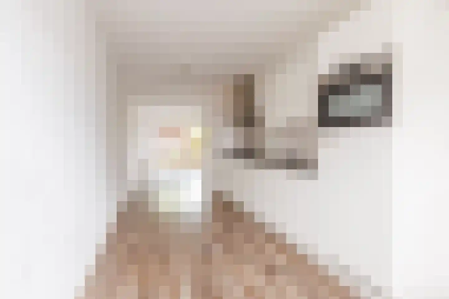 Linie 91 Apeldoorn thumbnail 7