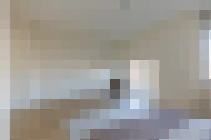 Linie 97 Apeldoorn thumbnail 14