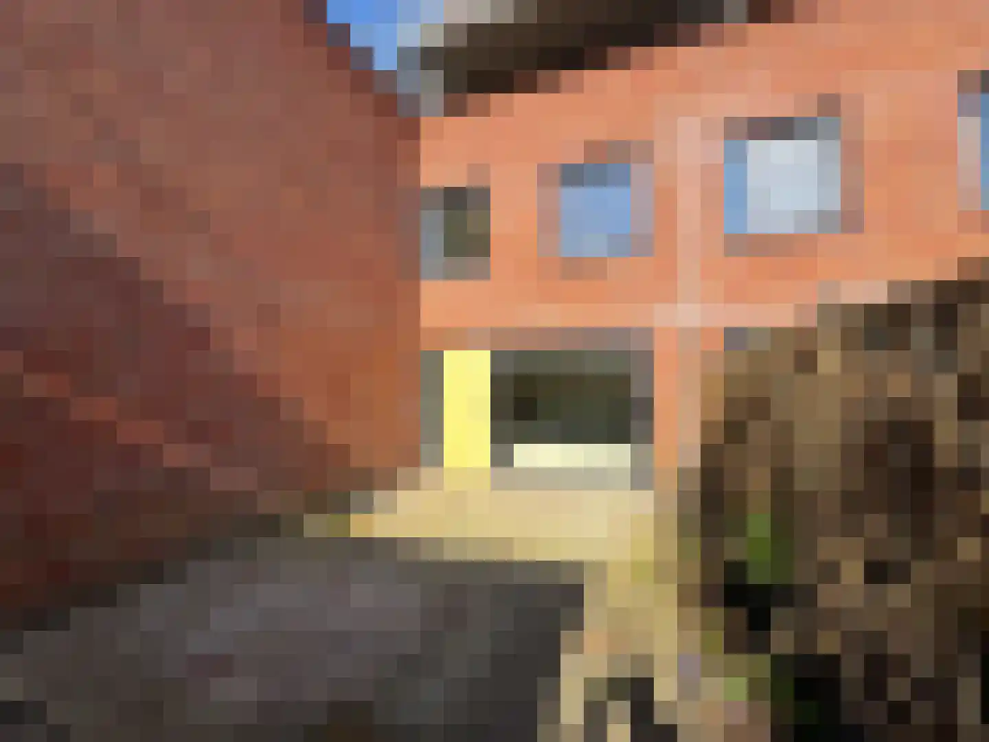 Linie 97 Apeldoorn thumbnail 19