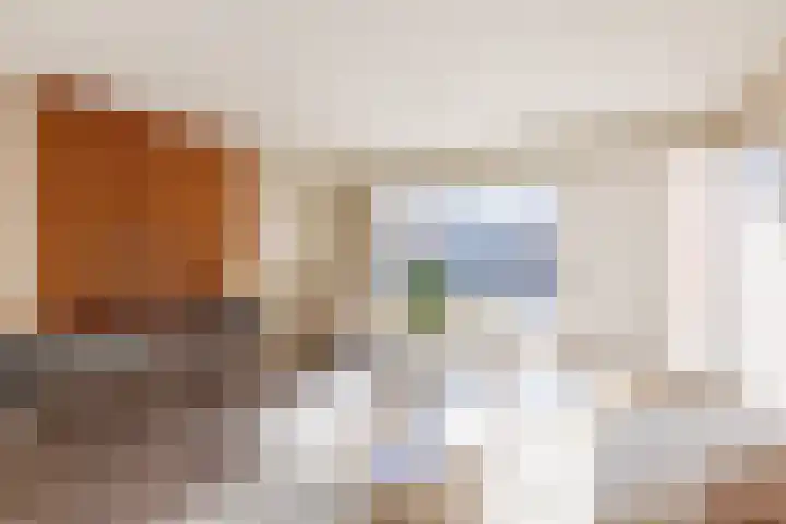 Linie 97 Apeldoorn thumbnail 8