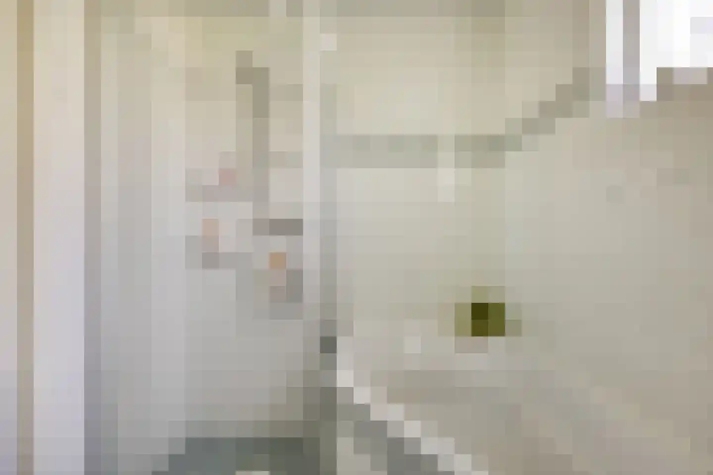 Linieschans 10 Zoetermeer thumbnail 21