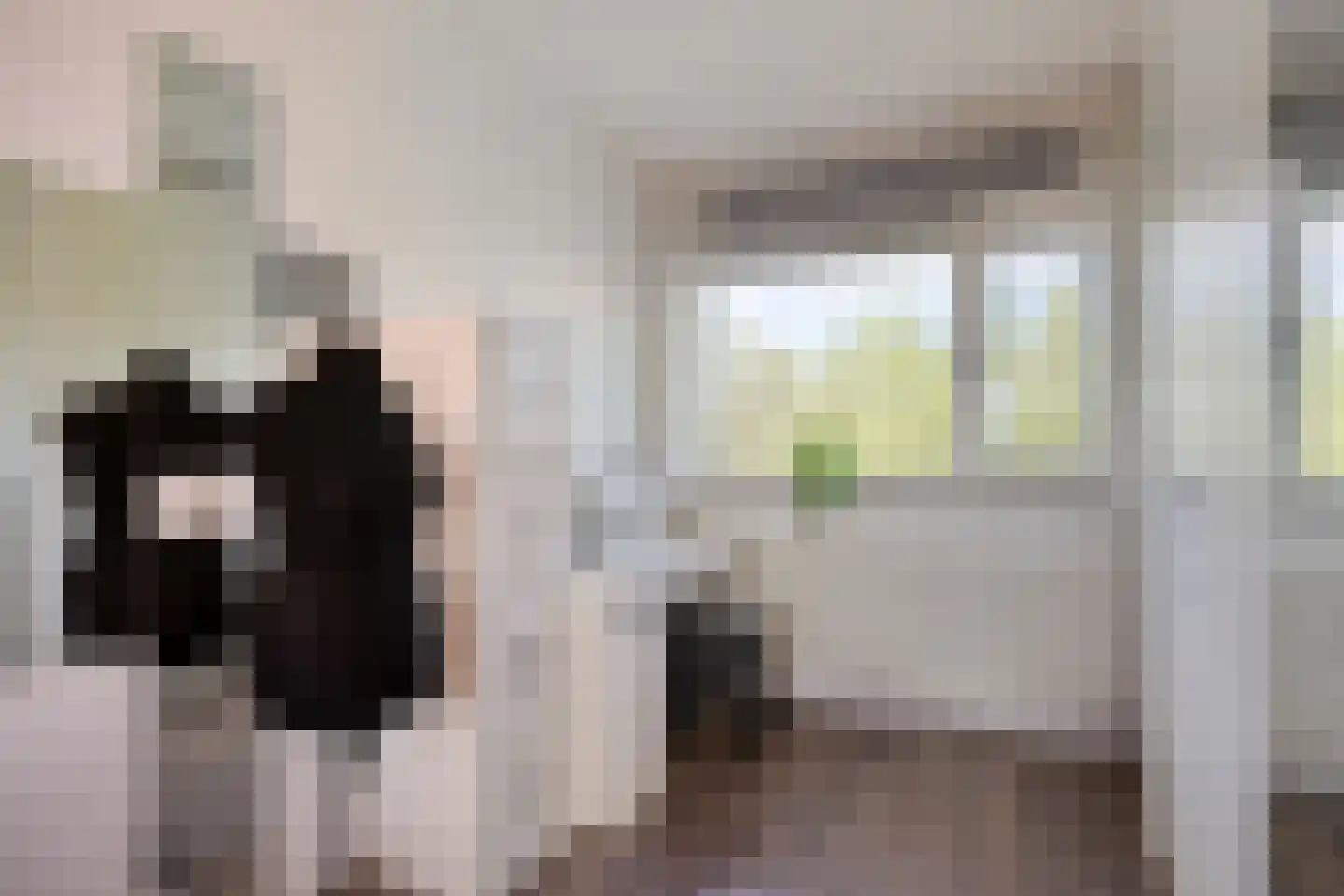 Linieschans 10 Zoetermeer thumbnail 26