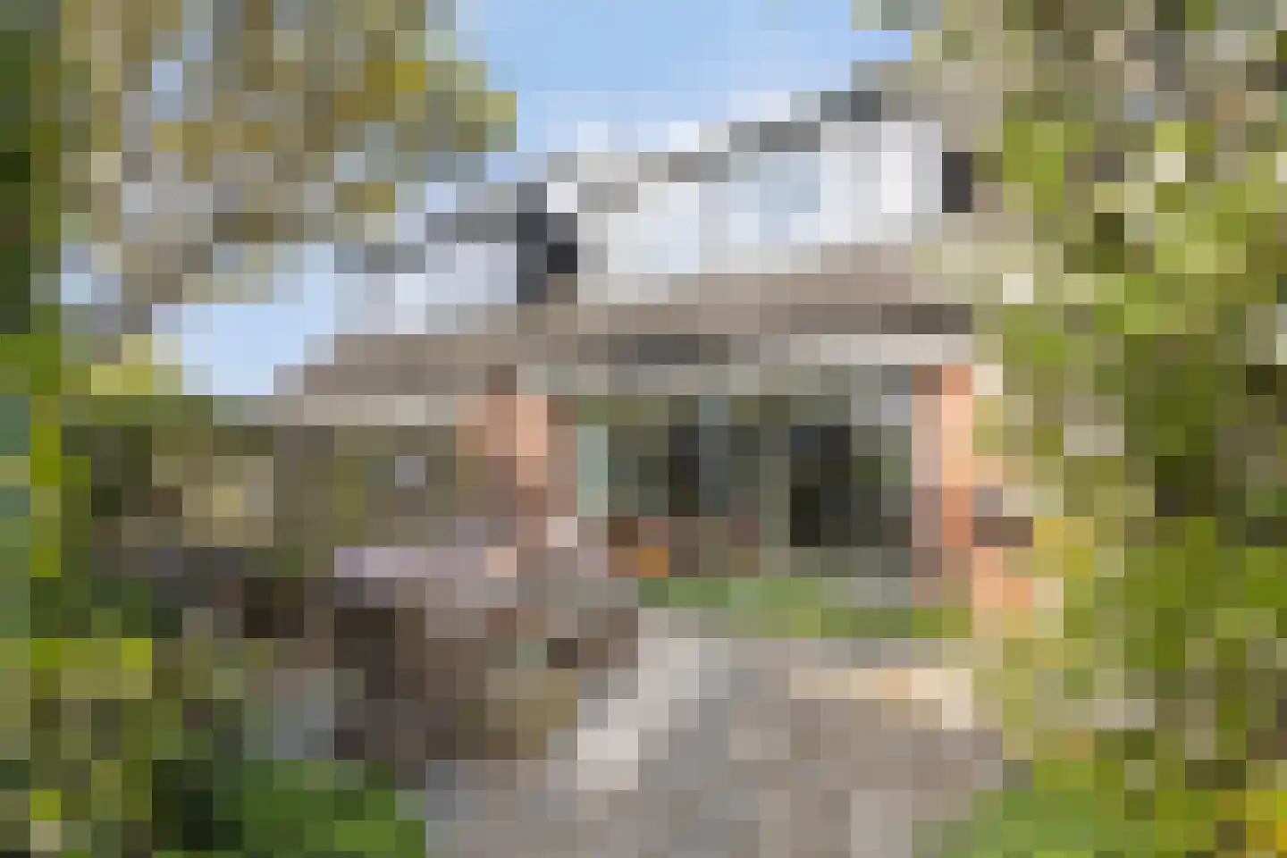 Linieschans 10 Zoetermeer thumbnail 34
