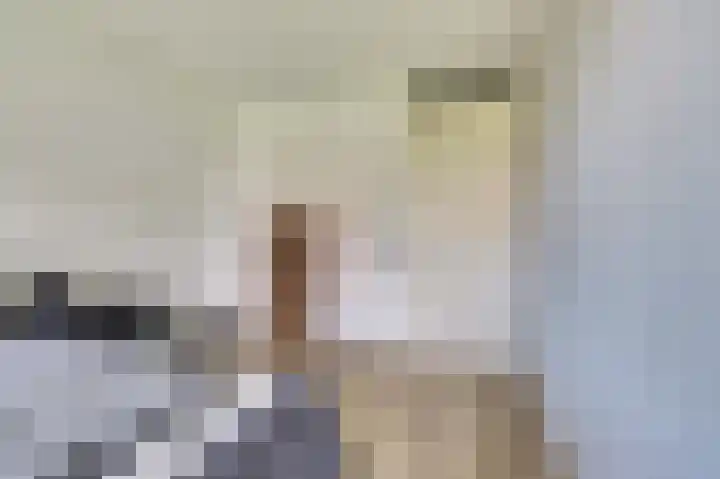 Linieschans 34 Zoetermeer thumbnail 24