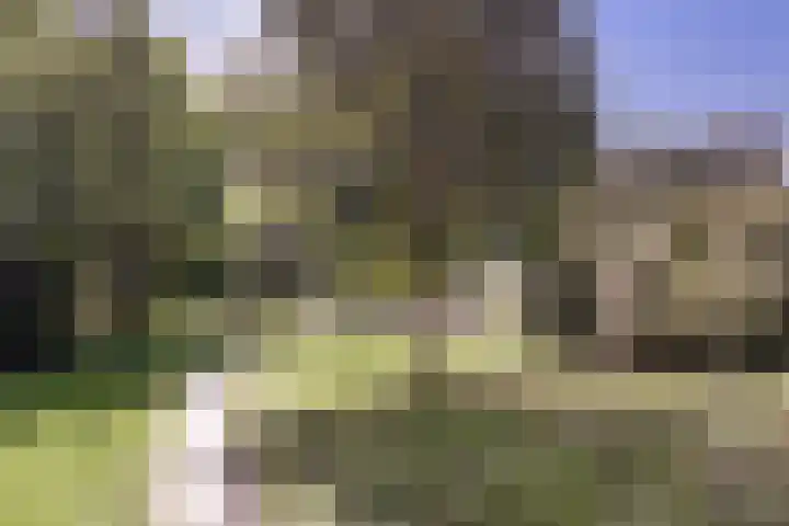 Linieschans 34 Zoetermeer thumbnail 31
