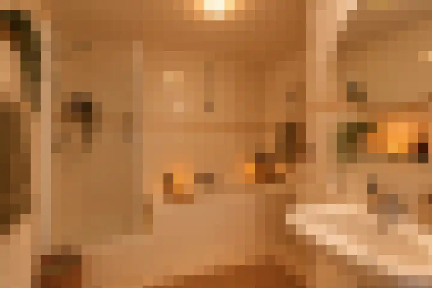 Linieschans 74 Zoetermeer thumbnail 28
