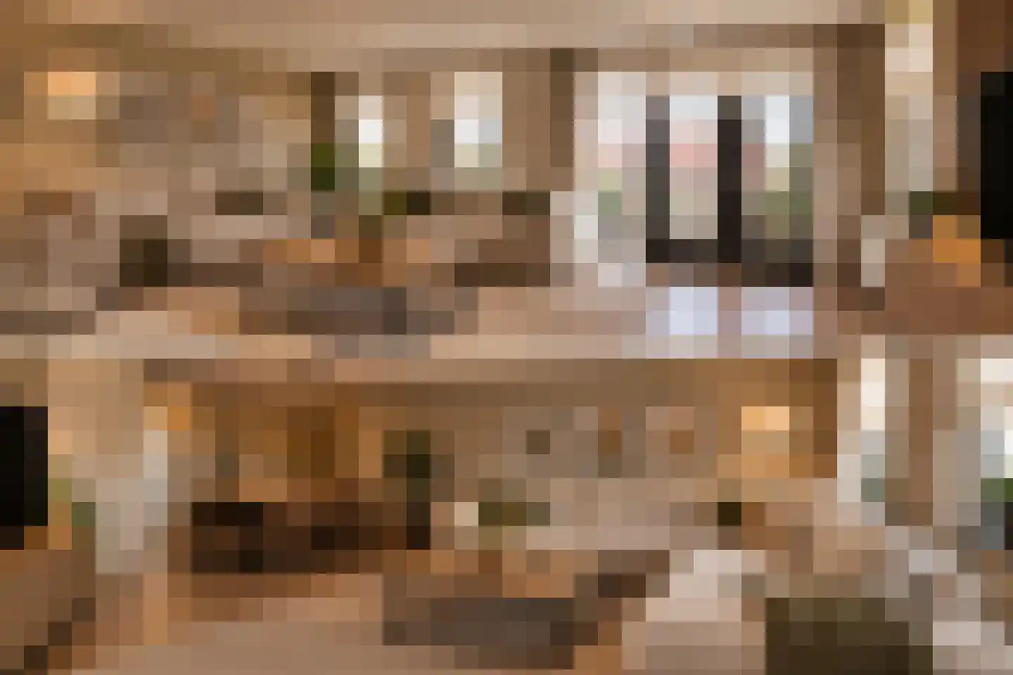 Linieschans 74 Zoetermeer thumbnail 41