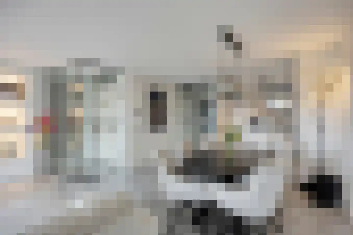 Linieschans 76 Zoetermeer thumbnail 19