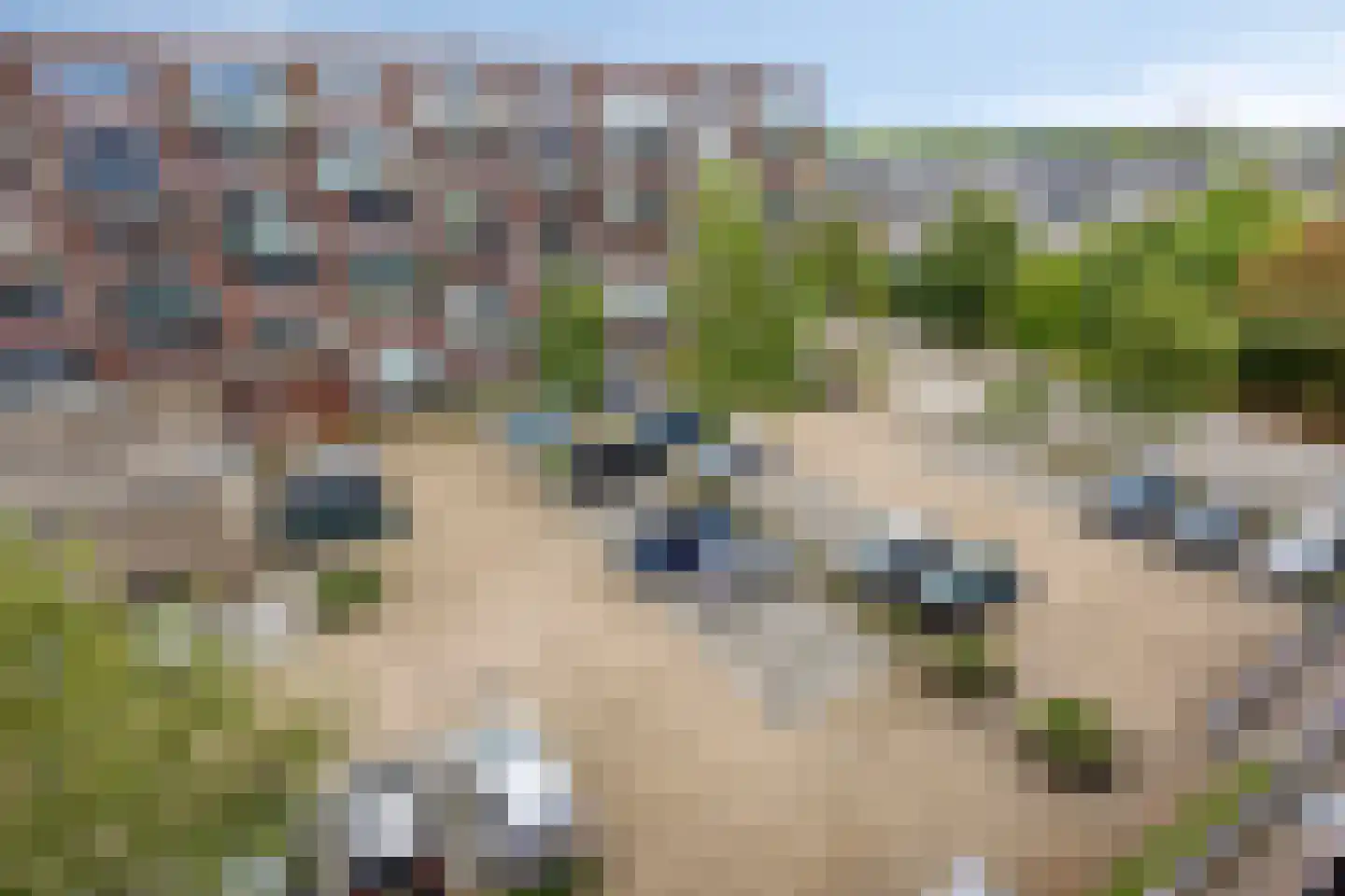 Linieschans 76 Zoetermeer thumbnail 30
