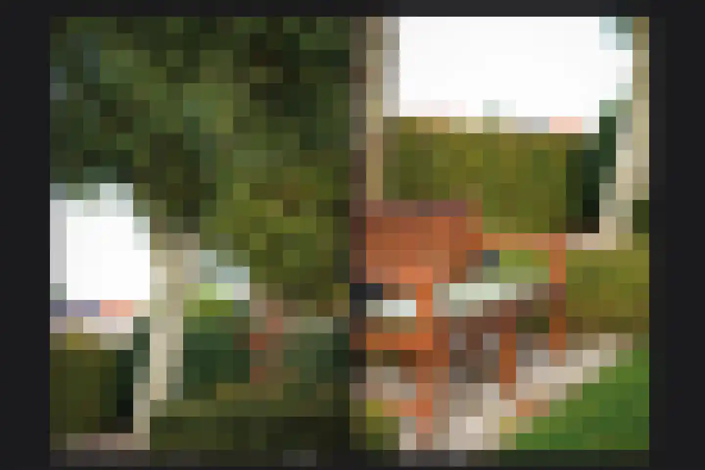 Liniestraat 11 a Ochten thumbnail 41
