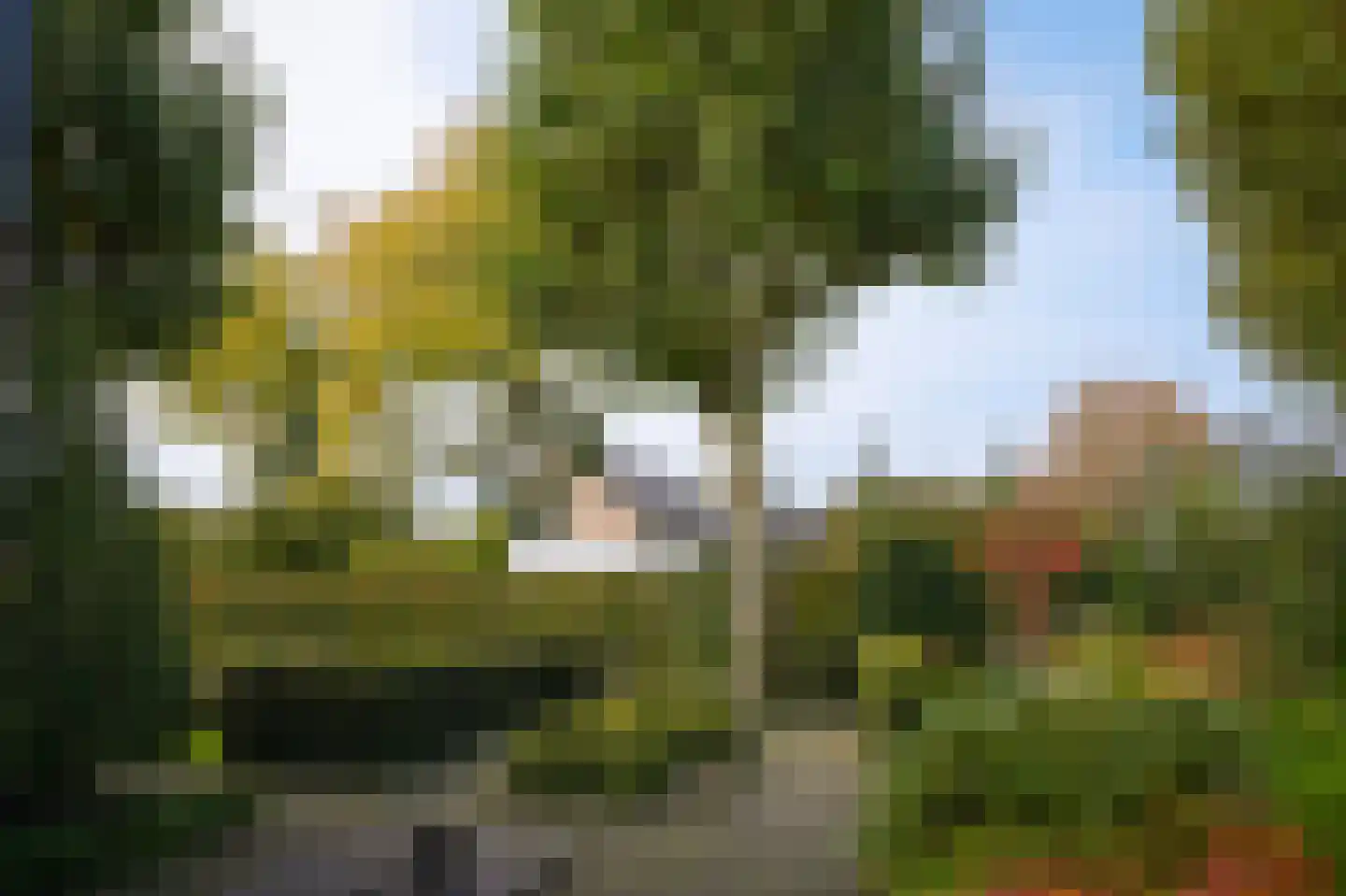 Liniestraat 11 a Ochten thumbnail 47