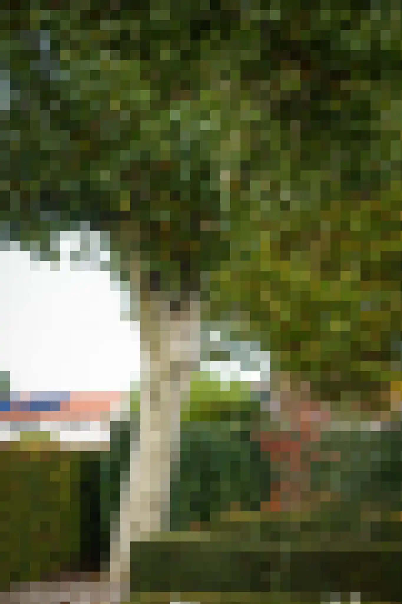 Liniestraat 11 a Ochten thumbnail 51