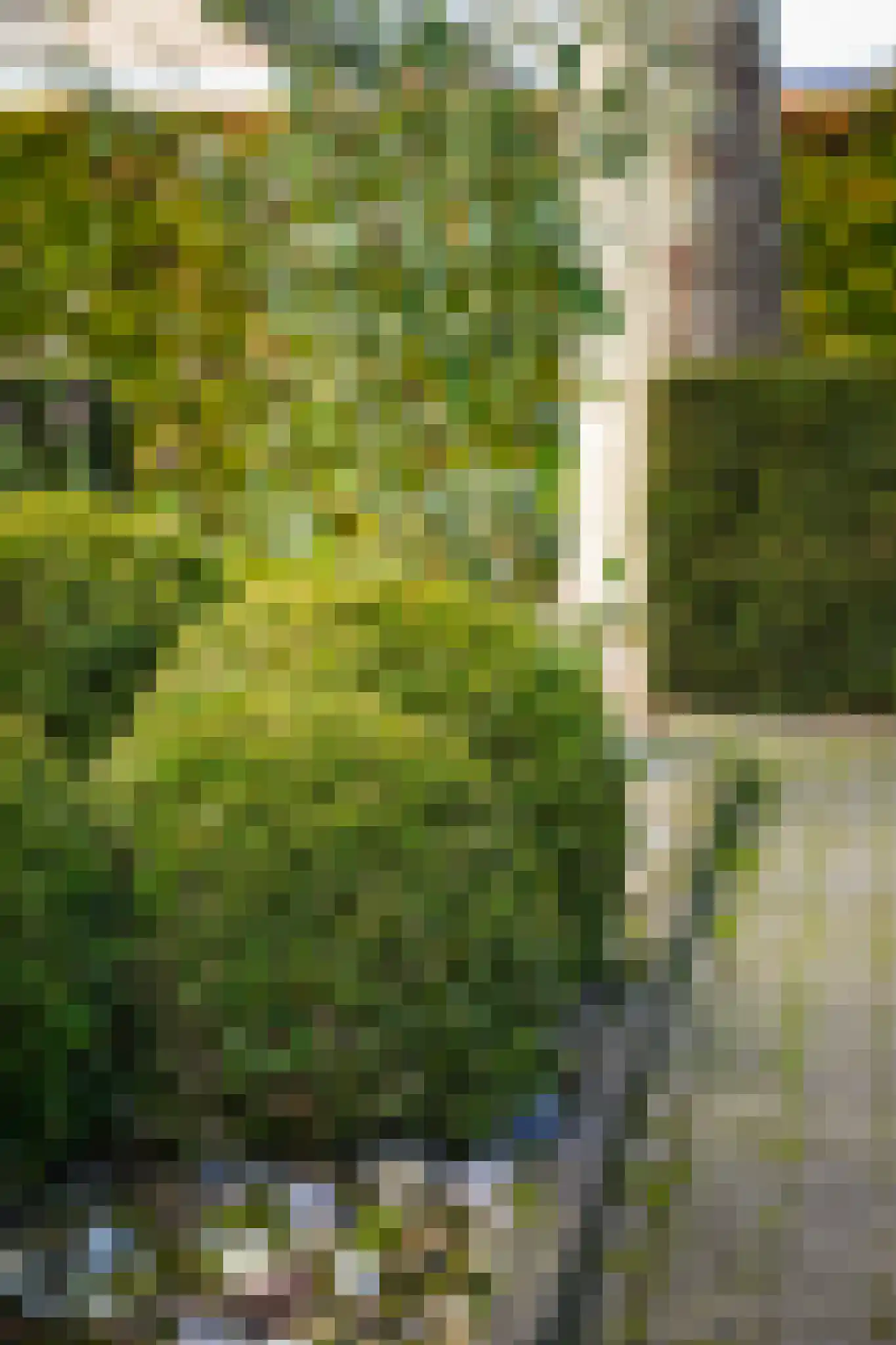 Liniestraat 11 a Ochten thumbnail 53