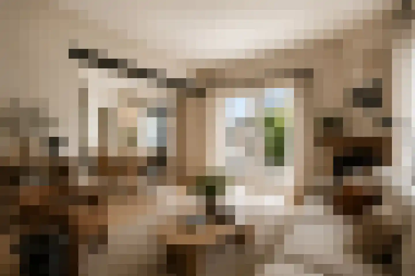 Liniestraat 2 Ochten thumbnail 12