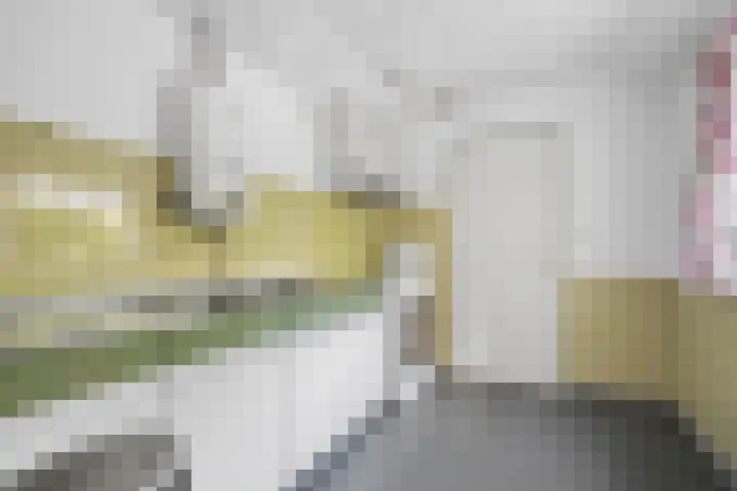 Liniestraat 2 Ochten thumbnail 18