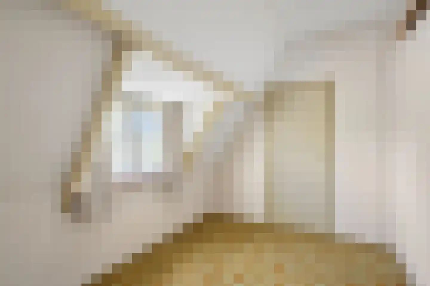 Liniestraat 2 Ochten thumbnail 34