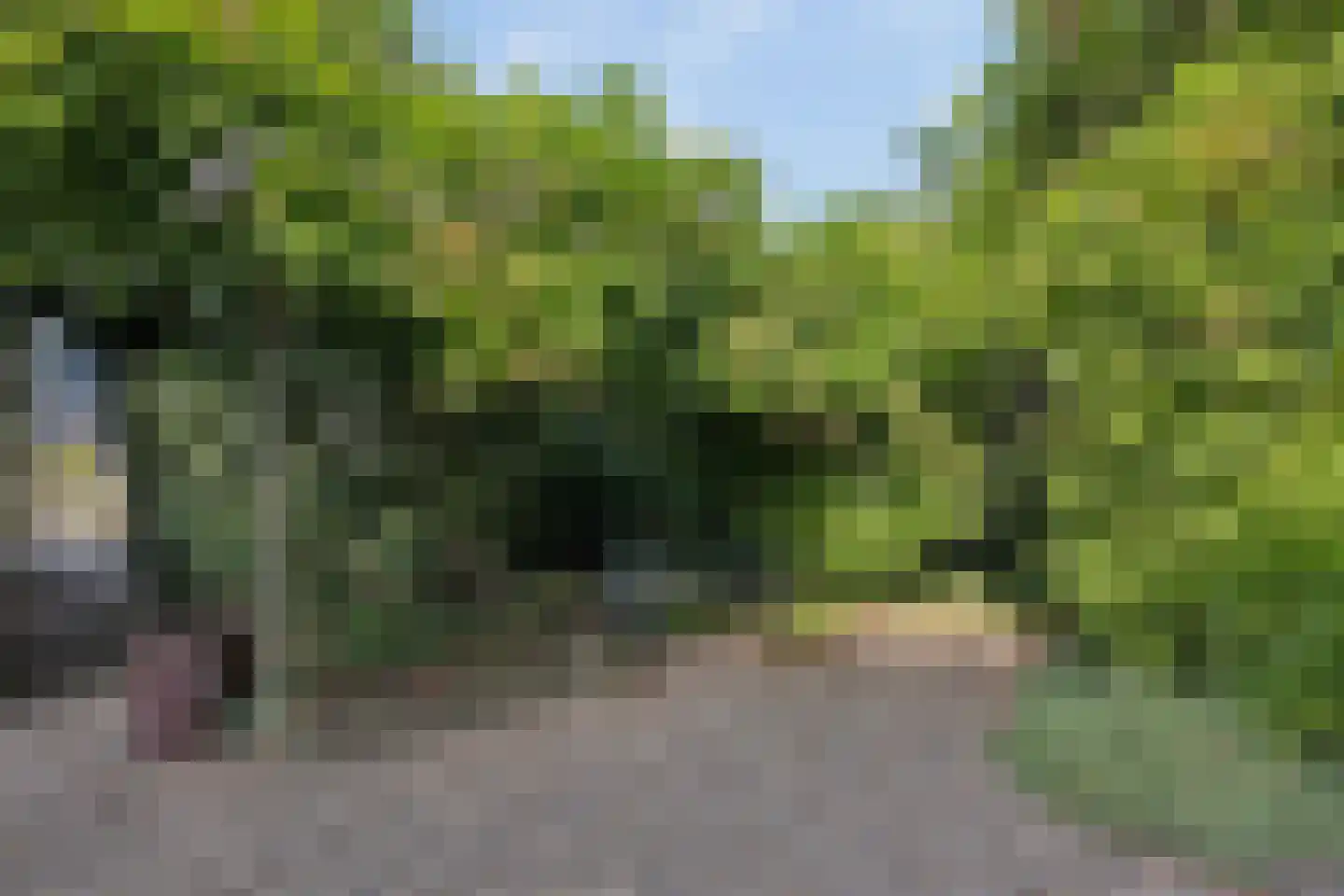 Liniestraat 2 Ochten thumbnail 49