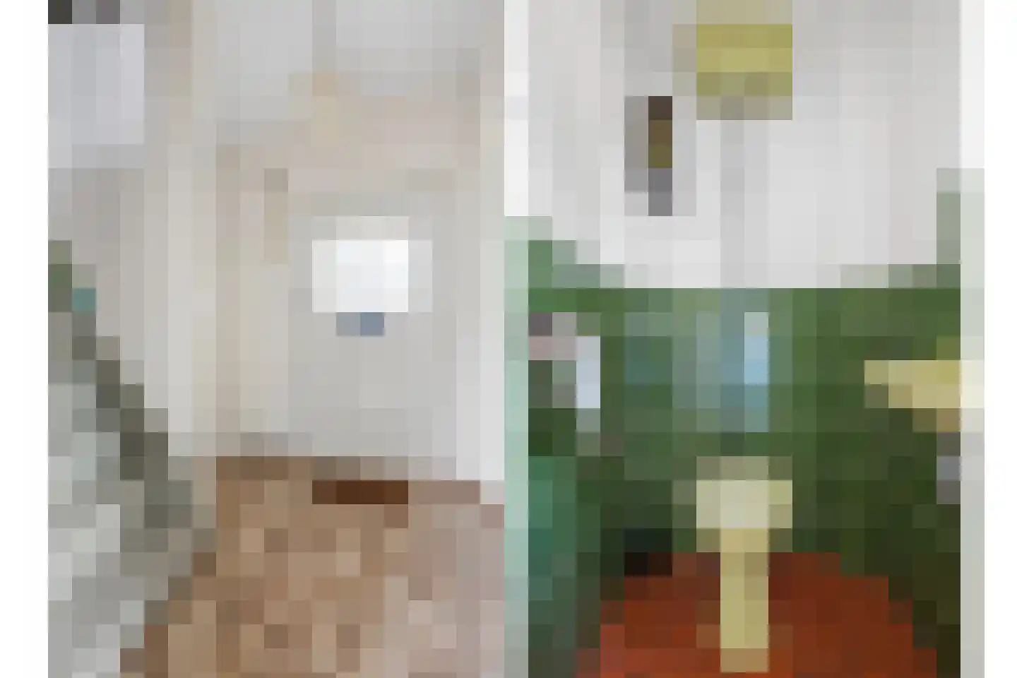 Liniestraat 2 Ochten thumbnail 6
