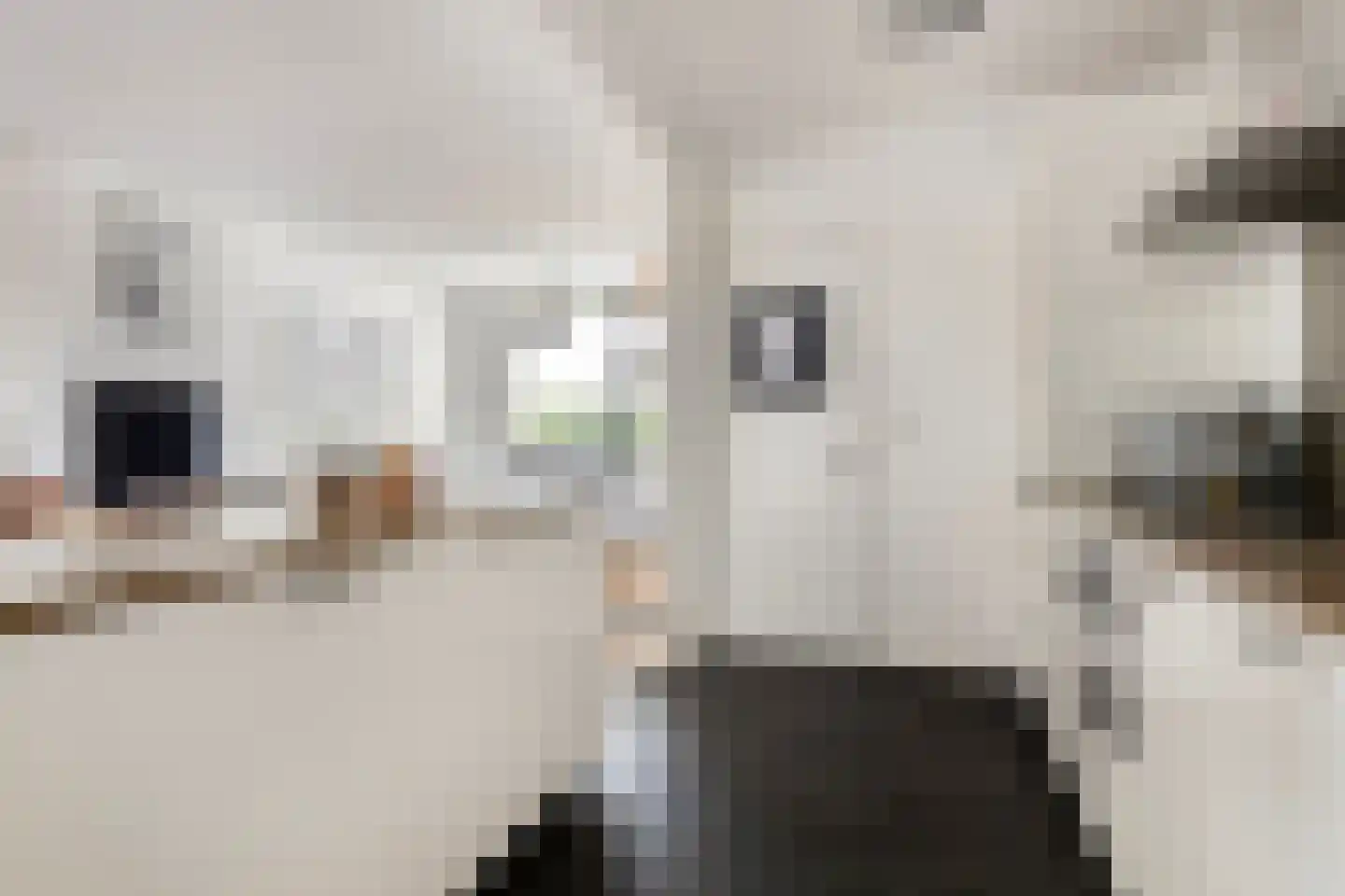 Liniestraat 303 Hulst thumbnail 13